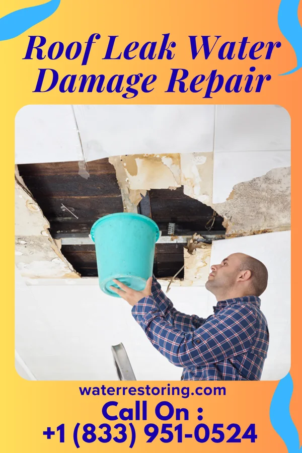 Roof Leak Water Damage Repair in Sonoma State University, CA